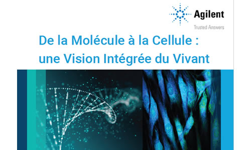 Ressource laboratoire : De la Molécule à la Cellule : une Vision Intégrée du Vivant