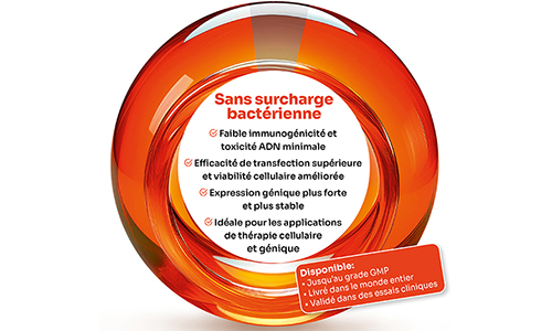 Minicircle DNA – Vecteur sans surcharge bactérienne pour l’ingénierie génétique de nouvelle génération